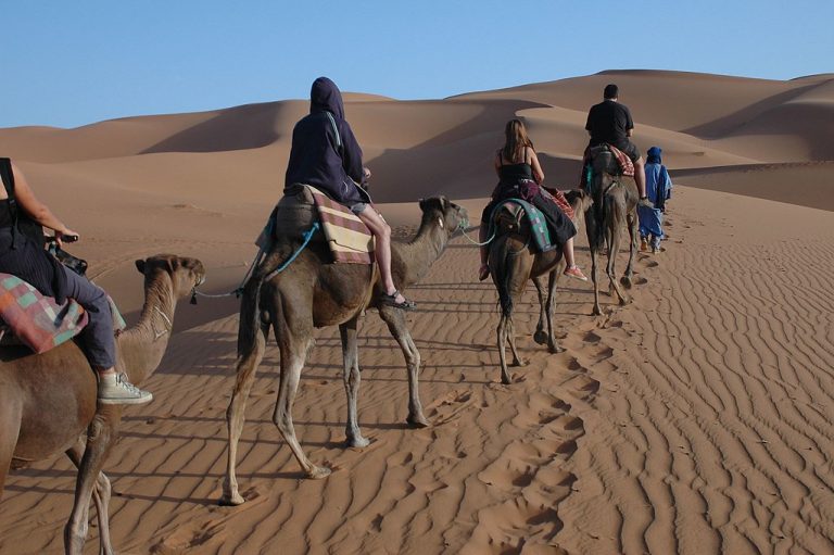 Tour From Fes to Marrakech 3 Days