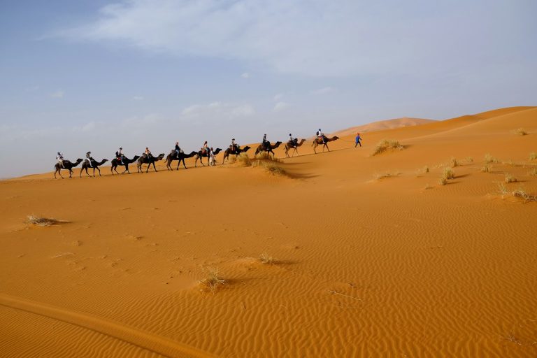 Morocco Sahara