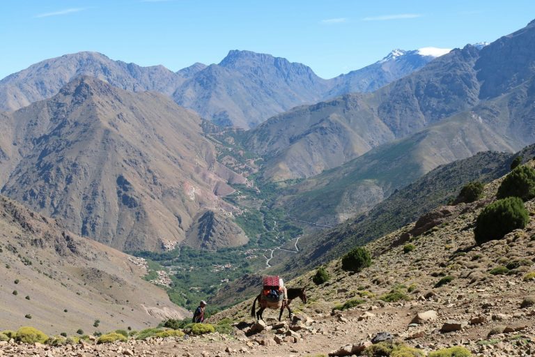 5 Days Tour from Marrakech to Desert